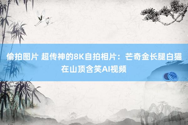 偷拍图片 超传神的8K自拍相片:芒奇金长腿白猫在山顶含笑AI视频