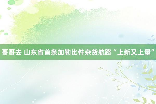 哥哥去 山东省首条加勒比件杂货航路“上新又上量”