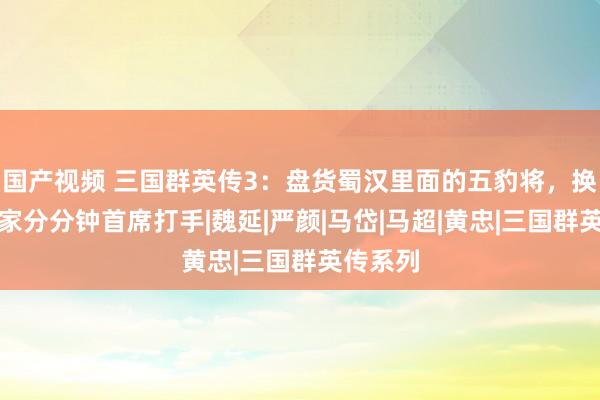 国产视频 三国群英传3：盘货蜀汉里面的五豹将，换到其他家分分钟首席打手|魏延|严颜|马岱|马超|黄忠|三国群英传系列