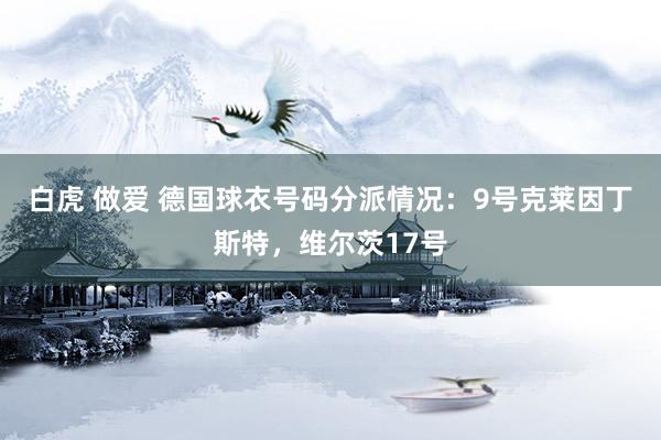 白虎 做爱 德国球衣号码分派情况：9号克莱因丁斯特，维尔茨17号